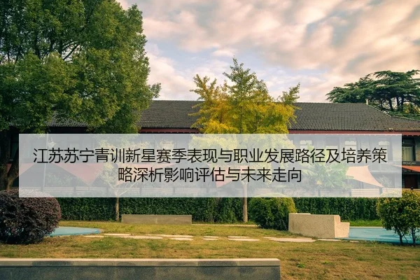 江苏苏宁青训新星赛季表现与职业发展路径及培养策略深析影响评估与未来走向